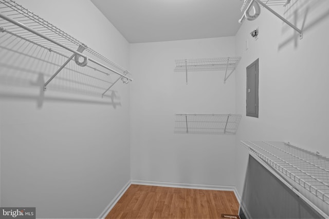 spacious closet with wood-type flooring and electric panel