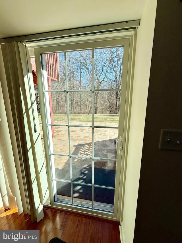 doorway with a healthy amount of sunlight and wood-type flooring