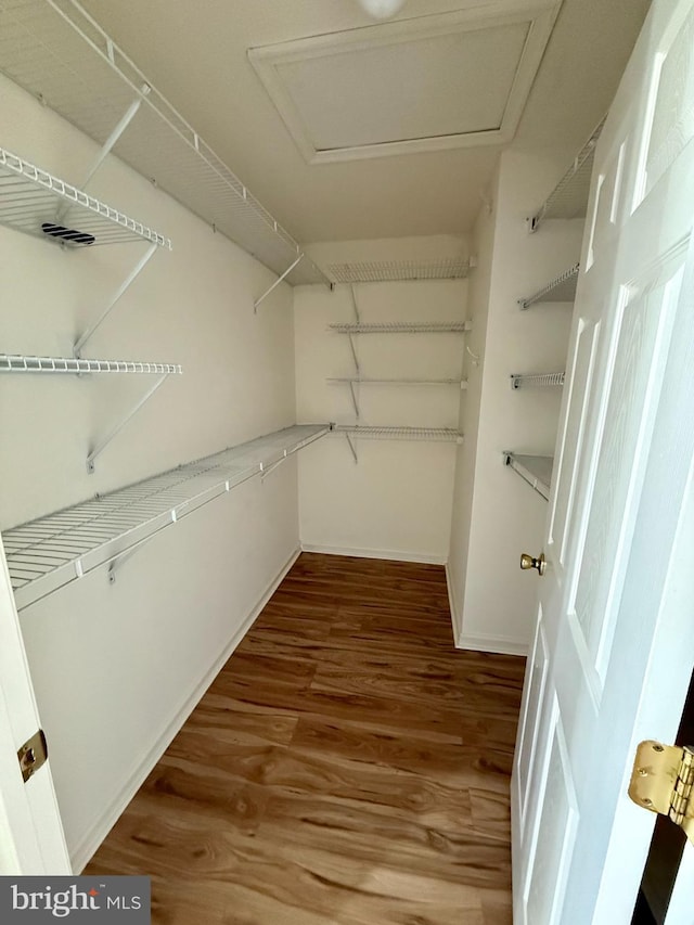 walk in closet featuring hardwood / wood-style flooring