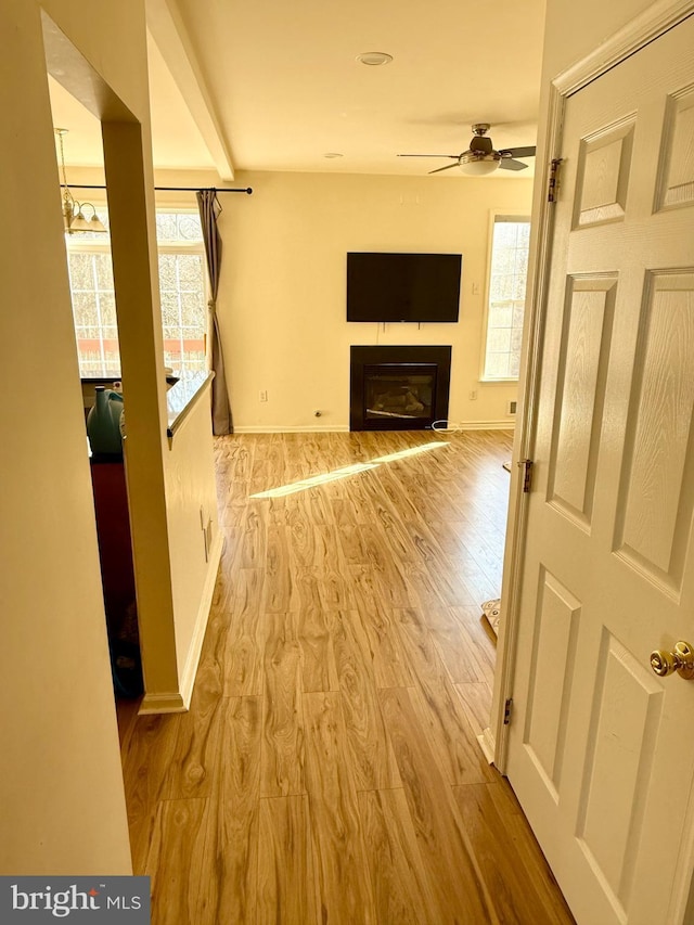 unfurnished living room with ceiling fan and light hardwood / wood-style flooring