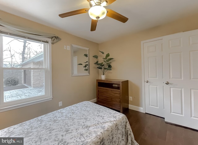 bedroom featuring dark hardwood / wood-style flooring and ceiling fan