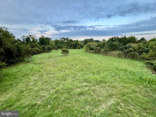 view of landscape featuring a rural view