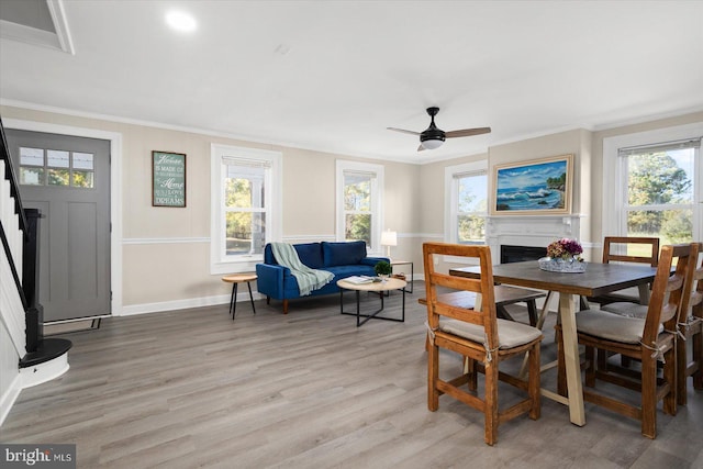 dining space with ornamental molding, ceiling fan, and light hardwood / wood-style floors