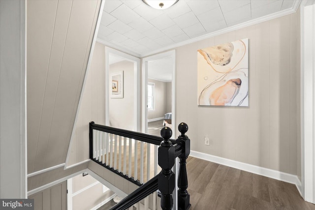 stairs with hardwood / wood-style flooring and ornamental molding