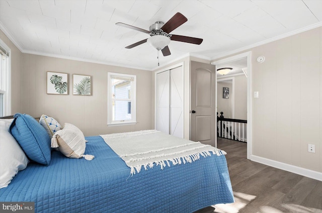 bedroom featuring ornamental molding, ceiling fan, dark hardwood / wood-style flooring, and a closet