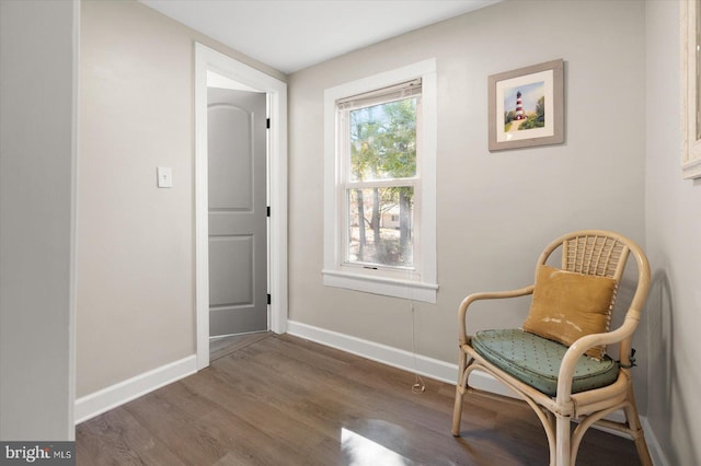 living area with wood-type flooring