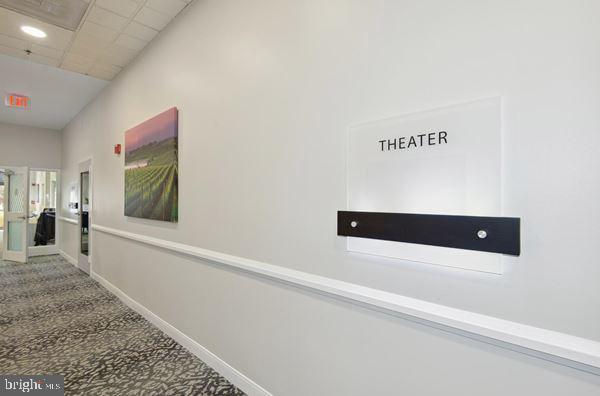 hall featuring carpet flooring and a drop ceiling