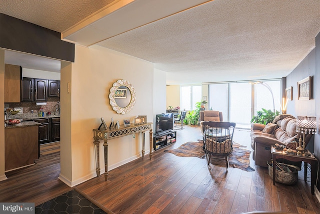 living room with expansive windows, dark hardwood / wood-style floors, sink, and a textured ceiling