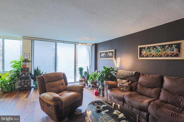 living room featuring hardwood / wood-style floors, a textured ceiling, floor to ceiling windows, and a healthy amount of sunlight