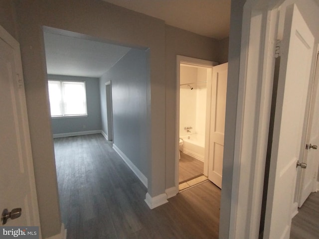 hall featuring hardwood / wood-style floors