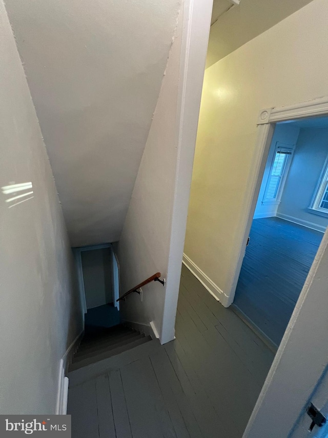 stairs featuring hardwood / wood-style flooring