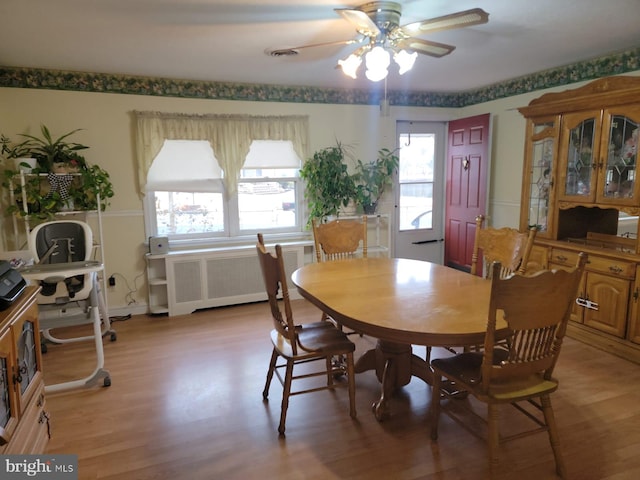 dining space featuring ceiling fan, radiator, and light wood-type flooring