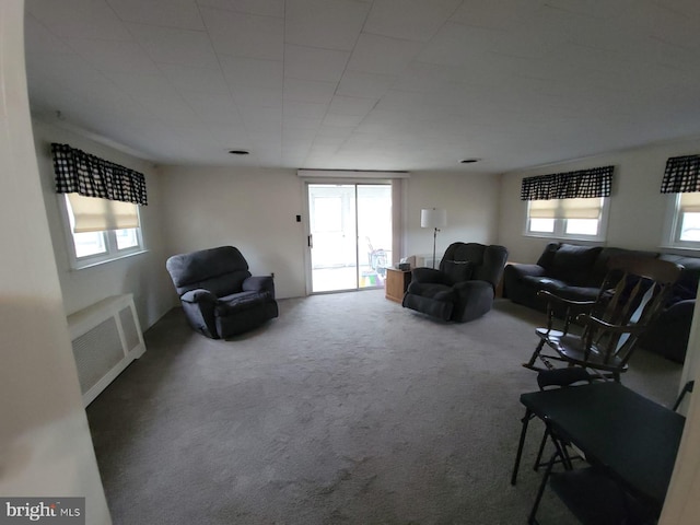 carpeted living room featuring a healthy amount of sunlight and radiator heating unit