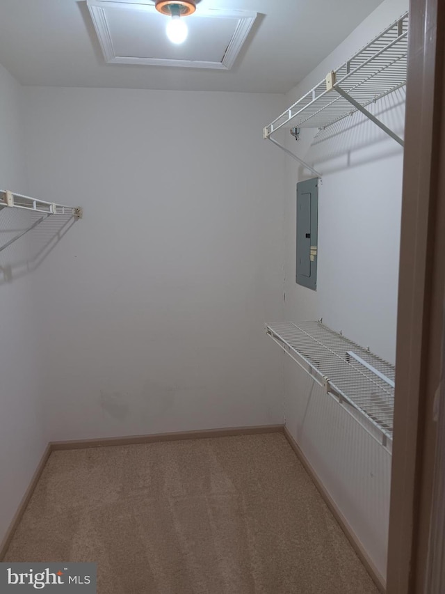 spacious closet with carpet flooring and electric panel