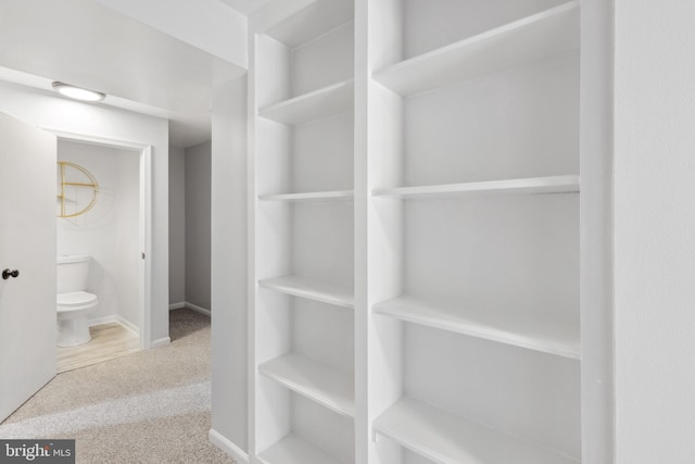 walk in closet featuring carpet