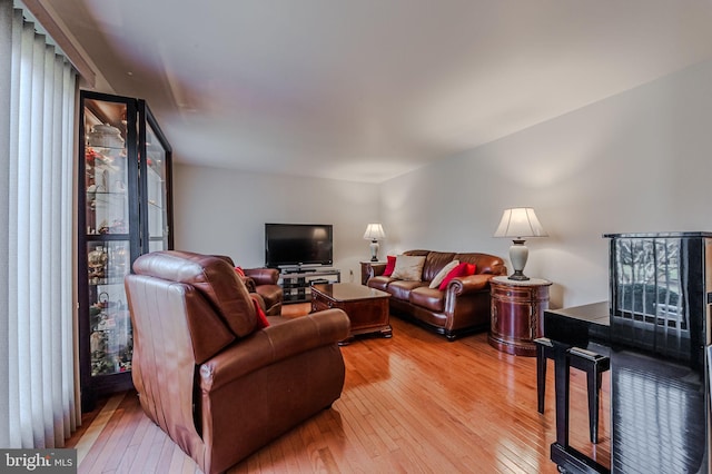 living room featuring wood-type flooring