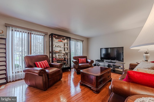 living room with light hardwood / wood-style floors