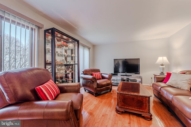 living room featuring plenty of natural light and light hardwood / wood-style floors