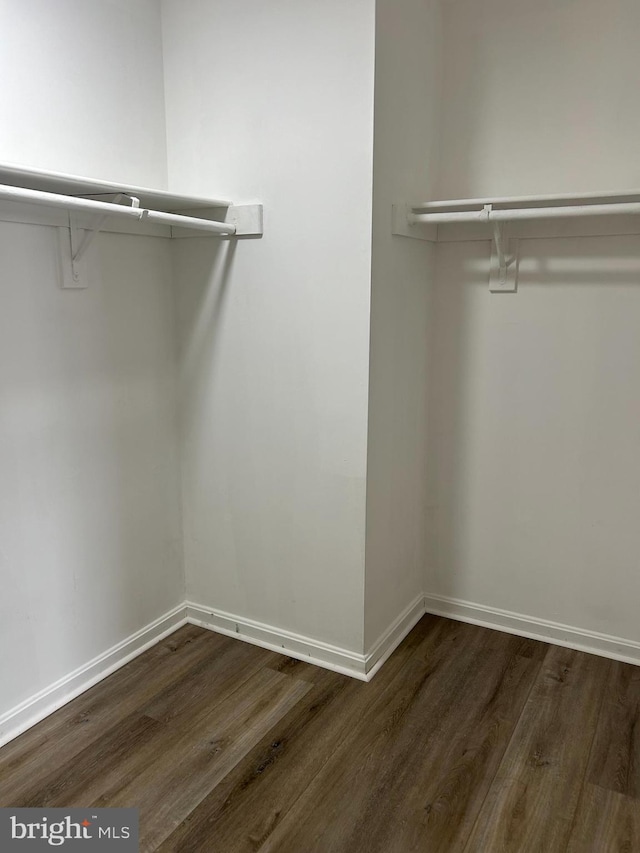 spacious closet featuring dark hardwood / wood-style flooring