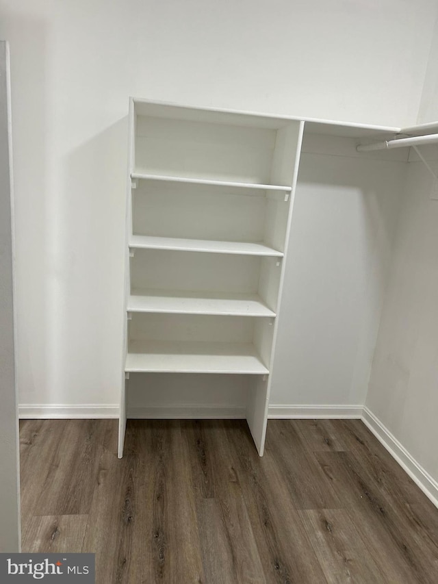 spacious closet with wood-type flooring