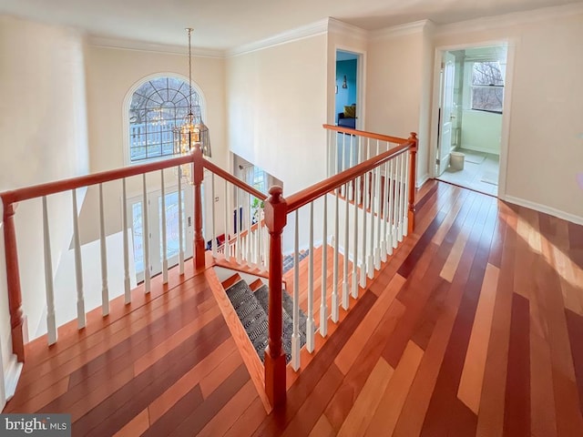 stairs featuring wood-type flooring, ornamental molding, and plenty of natural light