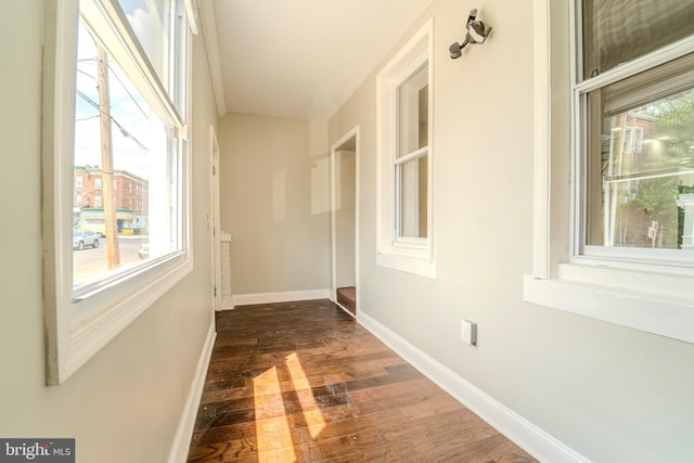 hallway featuring dark wood-type flooring