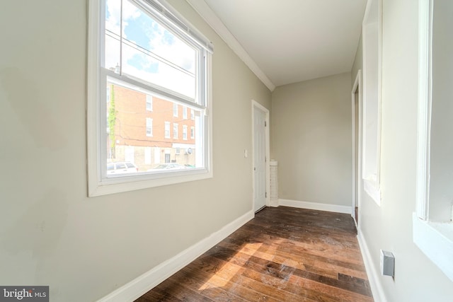 hall with dark wood-type flooring