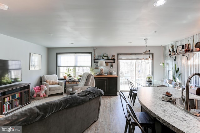 living room featuring sink and hardwood / wood-style floors