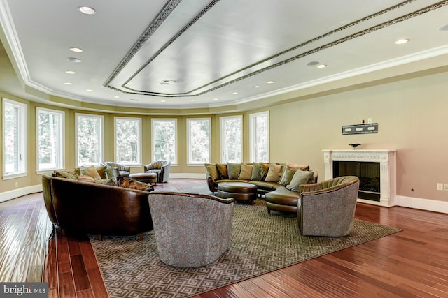 living room featuring crown molding, hardwood / wood-style floors, a premium fireplace, and a raised ceiling