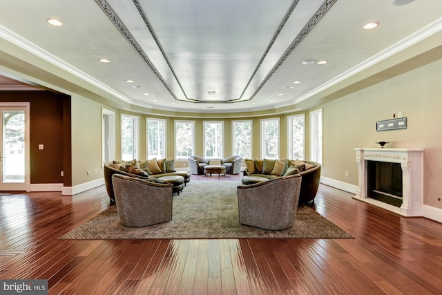 living room featuring ornamental molding, dark wood-type flooring, a fireplace, and a tray ceiling