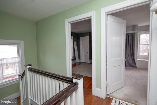 hall featuring hardwood / wood-style flooring