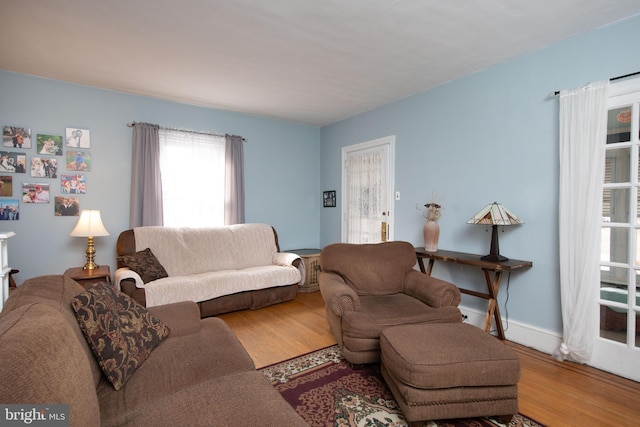 living room with hardwood / wood-style flooring