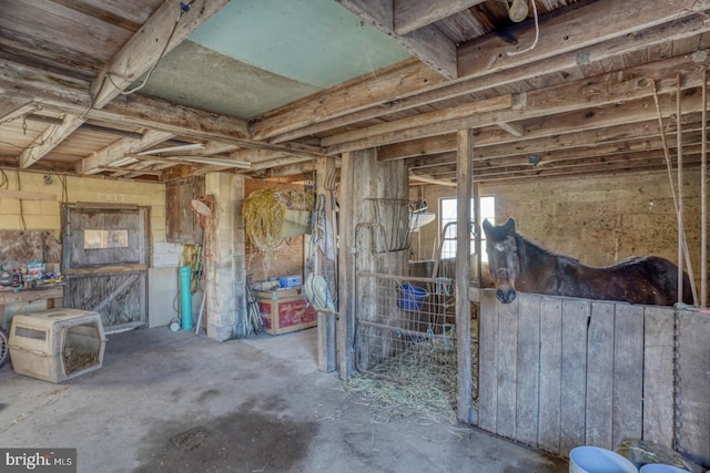 view of stable