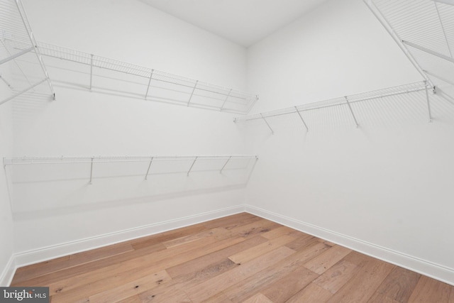 spacious closet with hardwood / wood-style flooring