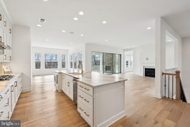 kitchen featuring sink, plenty of natural light, light hardwood / wood-style floors, and white cabinets