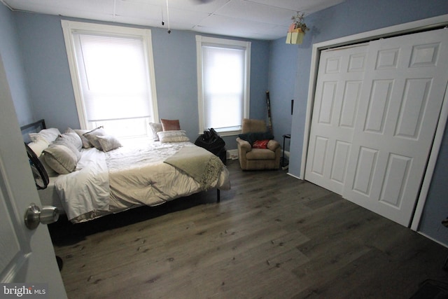 bedroom featuring dark hardwood / wood-style floors and a closet