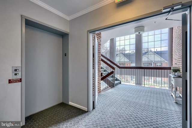 hall with crown molding, carpet, and elevator