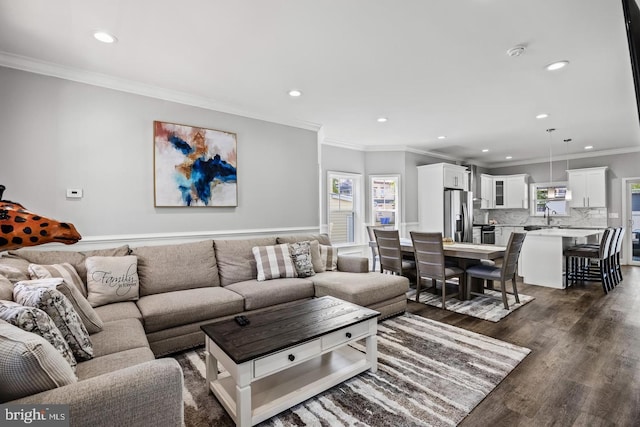 living room featuring sink, crown molding, and dark hardwood / wood-style floors