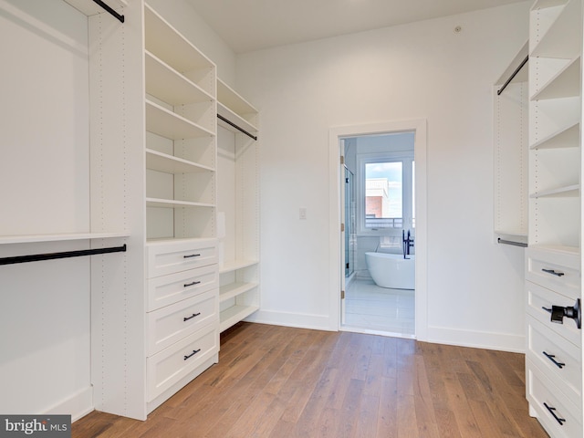 spacious closet with light hardwood / wood-style flooring