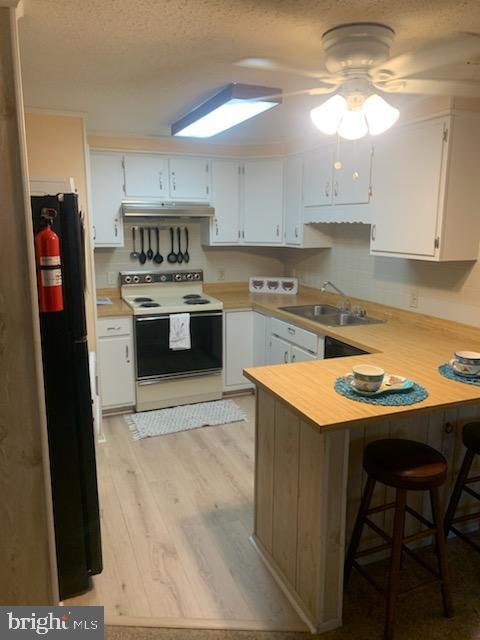 kitchen featuring under cabinet range hood, white cabinetry, light countertops, electric stove, and light wood finished floors