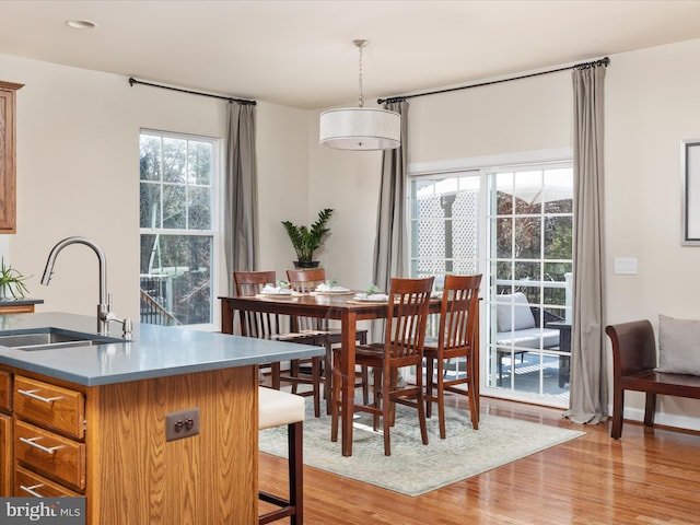 dining area featuring sink and light hardwood / wood-style flooring