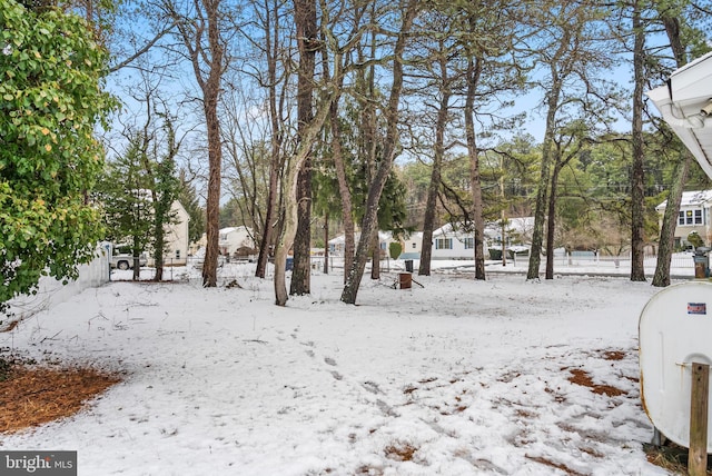 view of snowy yard