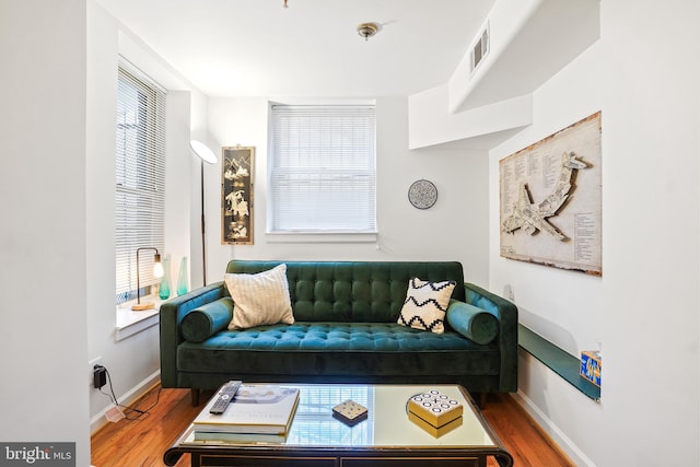 living room with wood-type flooring and plenty of natural light