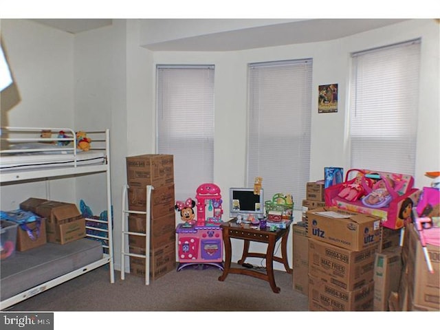 bedroom featuring carpet