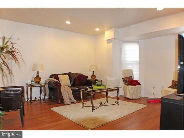 living room with hardwood / wood-style flooring