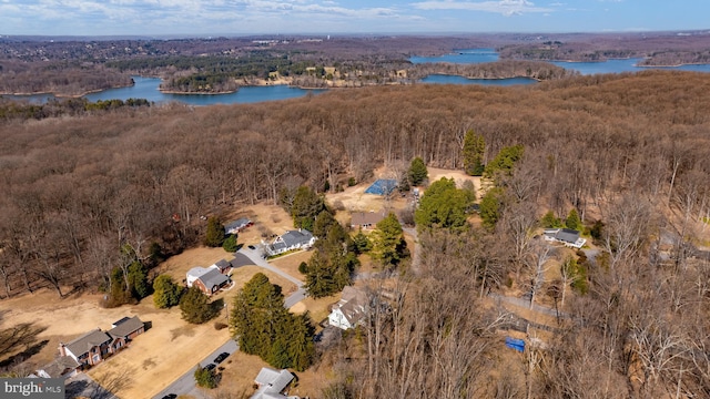 drone / aerial view with a water view and a view of trees