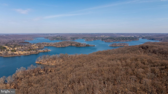 water view featuring a wooded view