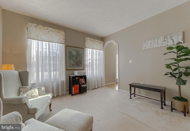 living area featuring arched walkways, light carpet, plenty of natural light, and a textured ceiling