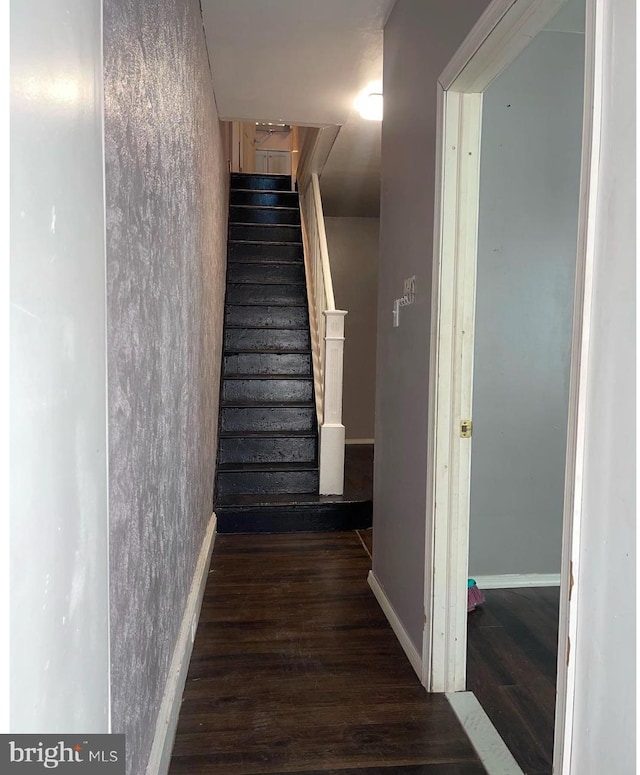 stairway with hardwood / wood-style floors