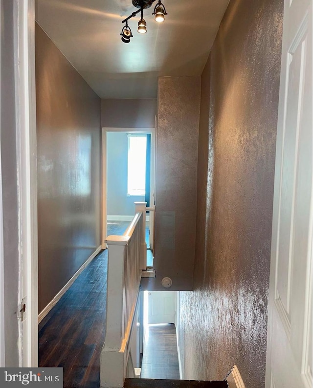 hallway featuring dark wood-type flooring